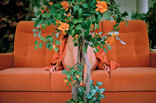 Photography: Sofa Safari by Jasmine Deporta