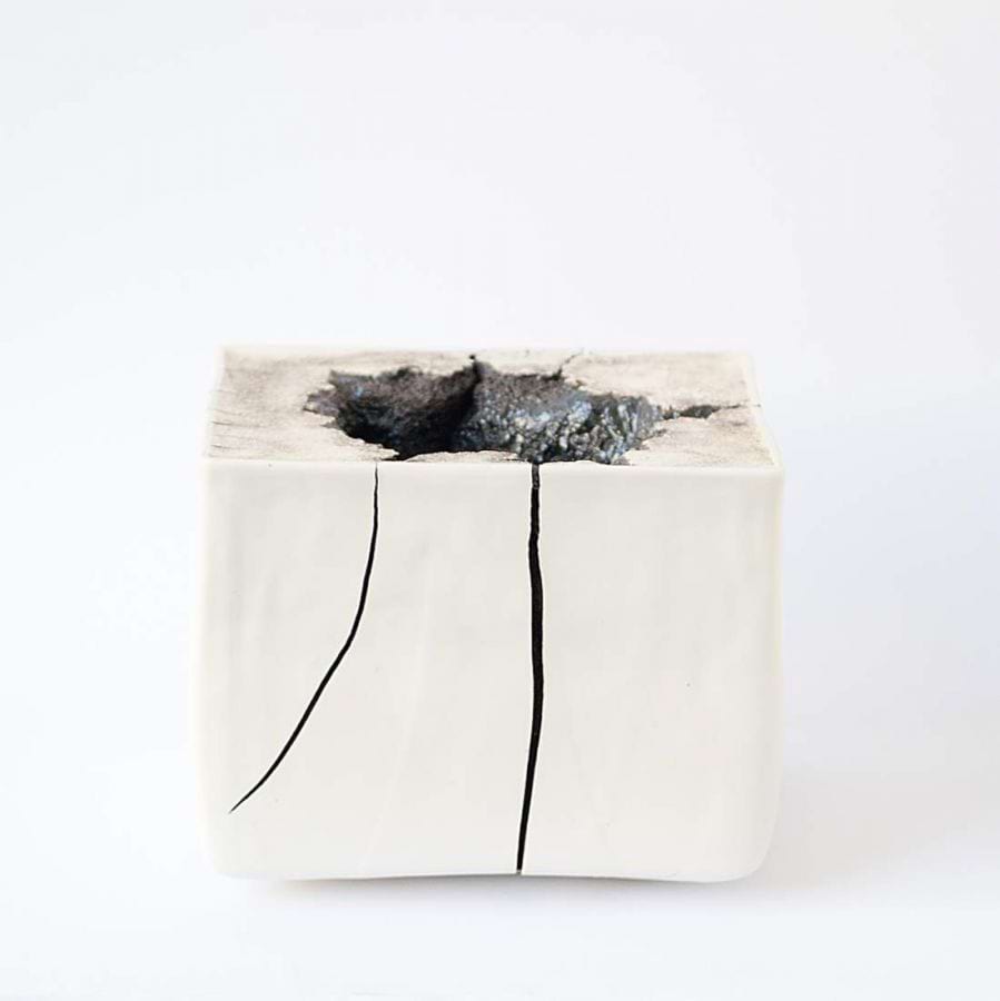 Spotlight: Joan Serra