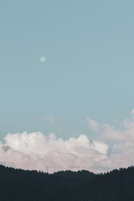 Astrology with Daliah Roth: Cancer