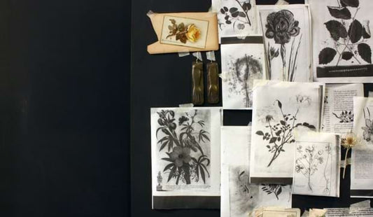 Beauty Talks: Content Wellbeing
