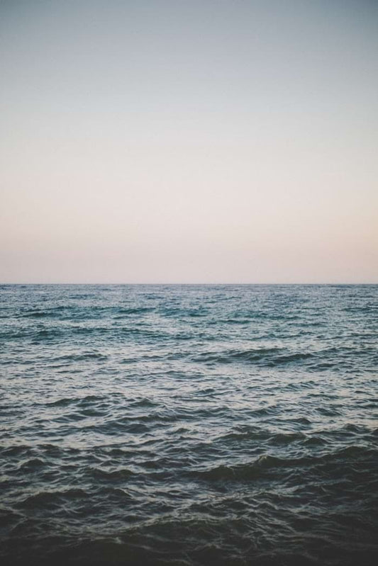 Astrology with Daliah Roth: Pisces