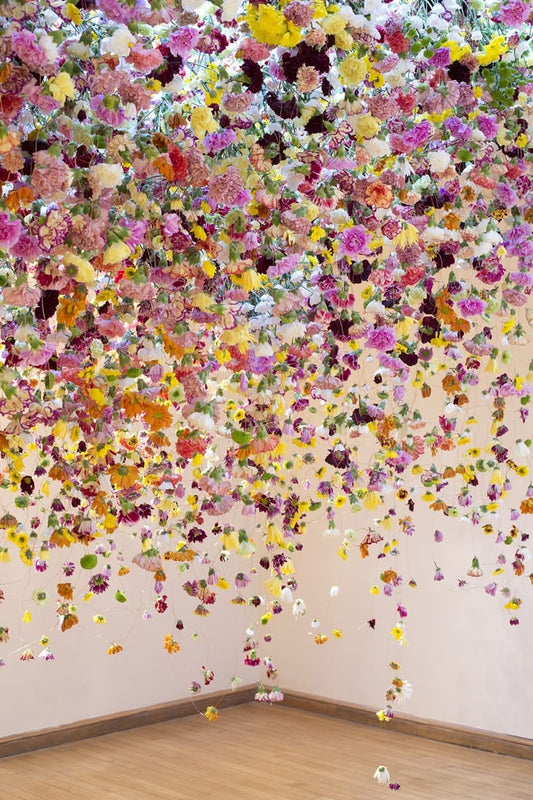 In Bloom: Celebration of Spring, Rebecca Louise Law