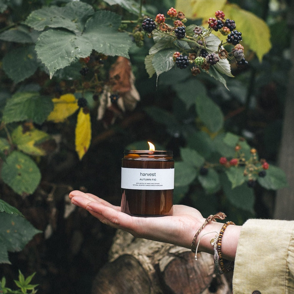 Autumn Fig Candle 200ml