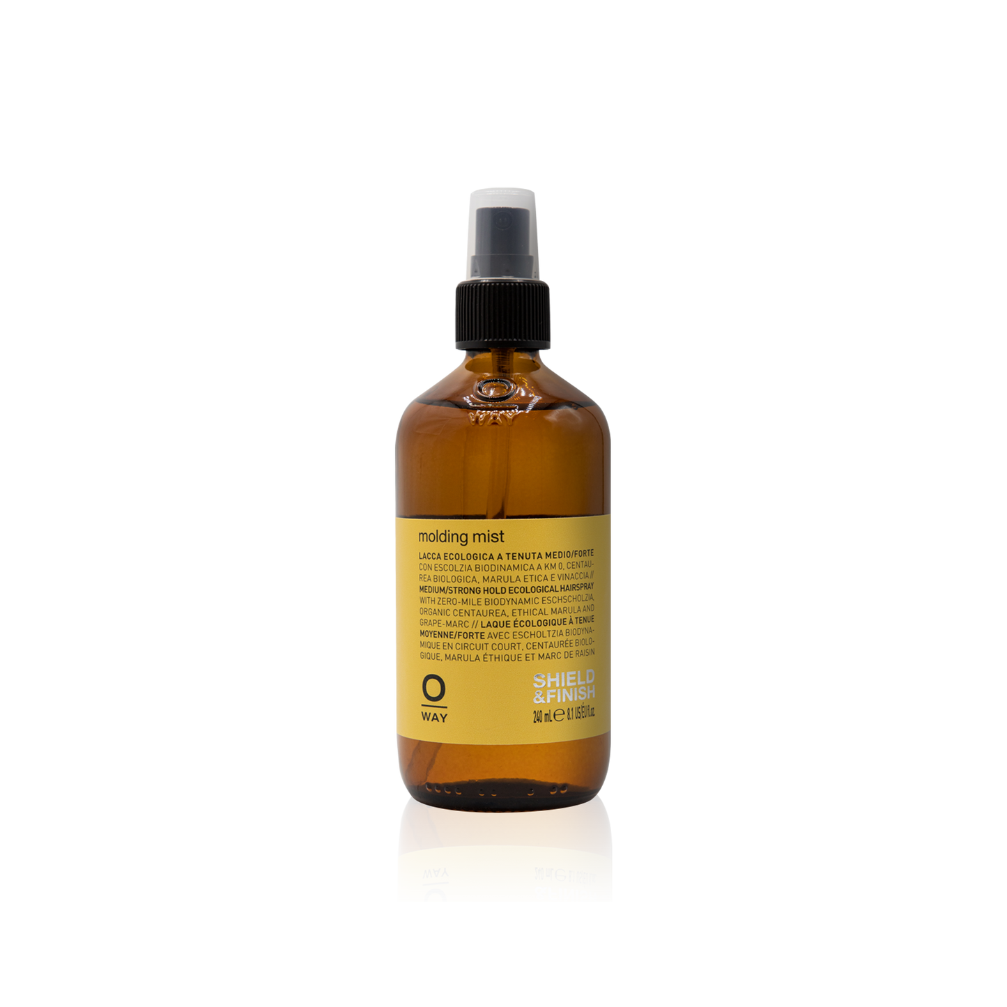 Molding Mist 240ml