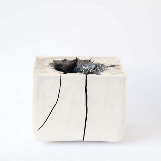 Spotlight: Joan Serra