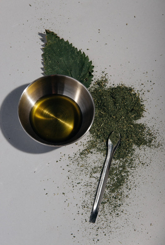 Nettle leaf with pot of orange oil on white background