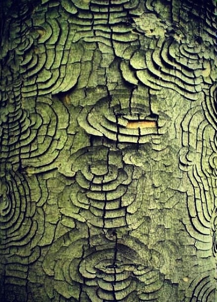 Perfect palettes: Khaki