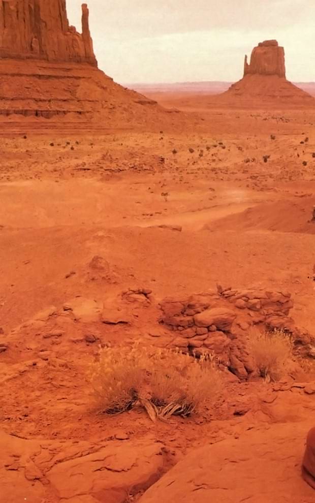 Perfect palettes: Rust – Glasshouse Salon