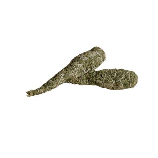IM Frequency Himalayan Sage 'Flame'