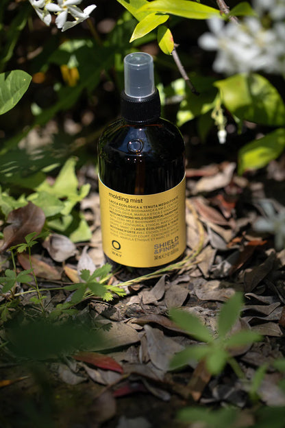 Molding Mist 240ml